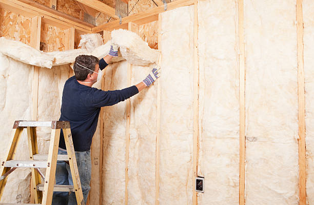 Trusted Odon, IN Insulation Services Experts